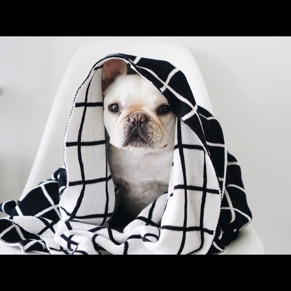 Meet your Posher, Vida - Picture 2 of 7